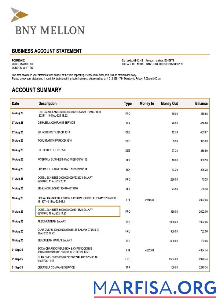 Realistic USA Bank of New York Mellon organization statement Word and PDF template